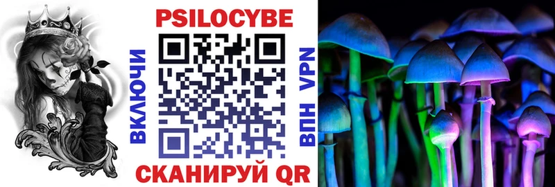Псилоцибиновые грибы Psilocybine cubensis  Верхоянск 